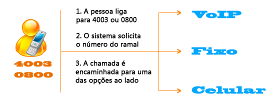 4003-0800